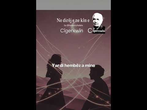 Ne dirêj e ne kin e