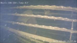 Vintage speedboat off Juniper Island in 200' of water