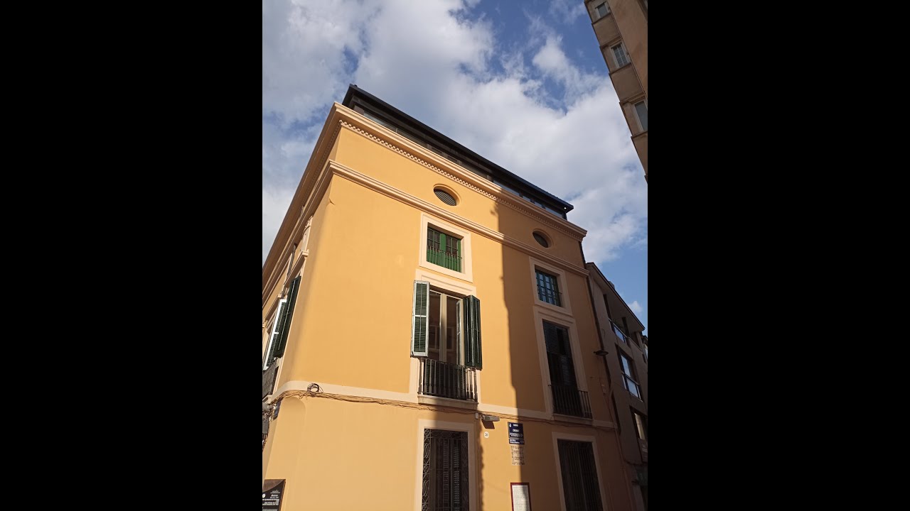 Auca del Senyor Esteve de Santiago Rusiñol