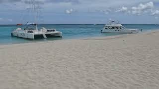 Turks & Caicos '24 Iguana Island and Half Moon Bay