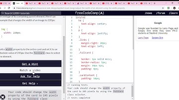 Learn Applied Visual Design  Adjust the Width of an Element Using the width Property   freeCodeCamp