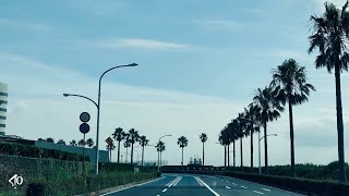 Chill Jazz x Soulful Beat - Tropic | FREE FOR PROFIT