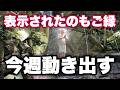 ※今すぐ見て【開運】流れを掴みたい人向け。見た人から今週の運が動き出します【38/100 5.10】