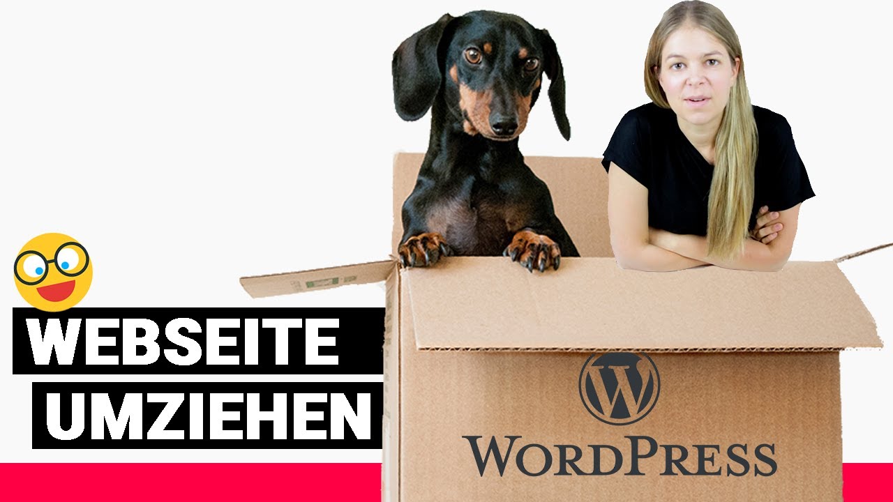 Update New WordPress Webseite umziehen✌️😀 einfaches Duplicator WordPress Tutorial