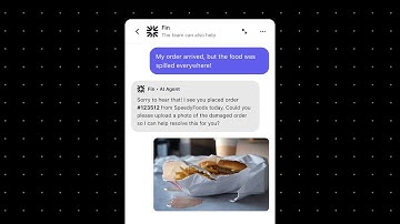 Fin by Intercom: the #1 AI Agent for customer service