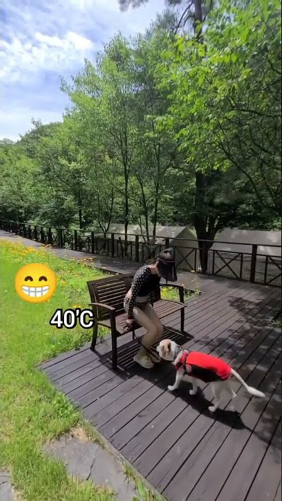 ASLI KEPANASAN BANGET ITU CEWEK SEXY 🤣 #shorts #status #story #lucu