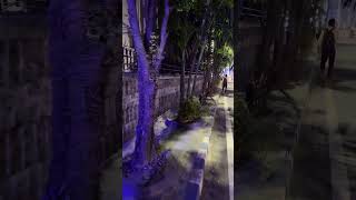 Didi r Newtown | Nasif Akhtar