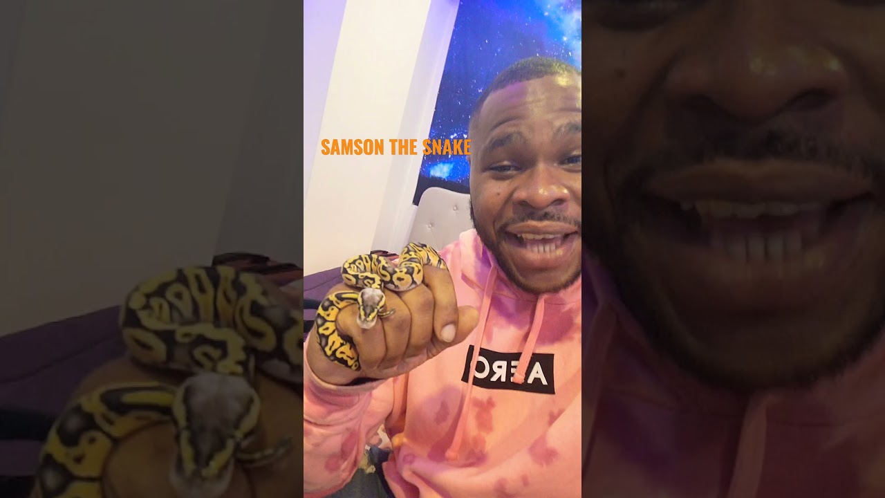 Samson the Snake Song