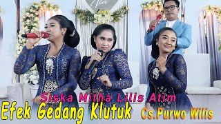 Download Lagu EFEK GEDANG KLUTUK...! SINDENE AYU AYU JOGETAN GAYENG - CAMPURSARI  PURWO WILIS || KAESAR AUDIO MP3
