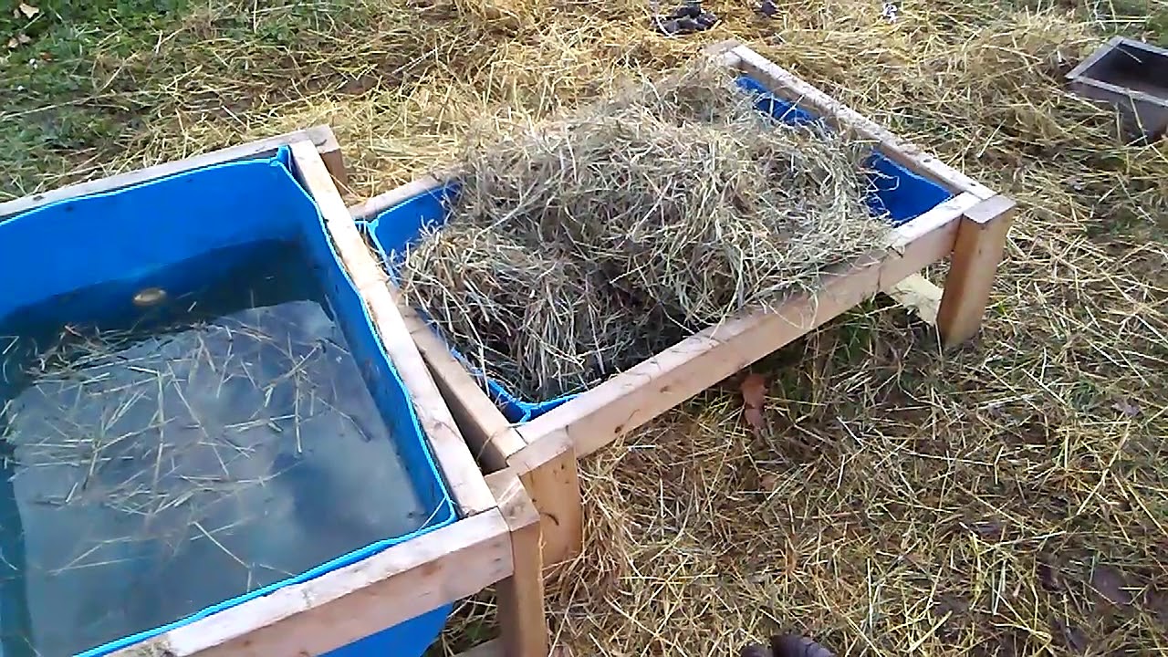 Cow feeders YouTube