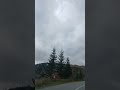 Осіння файнота