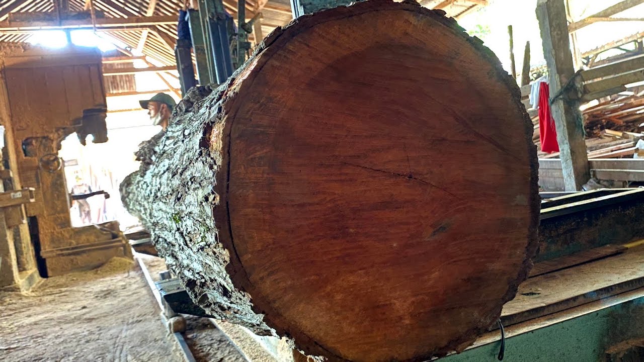 Mahogany 101 Understanding the Characteristics and Uses of this