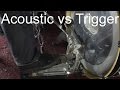 Double bass acoustic vs trigger