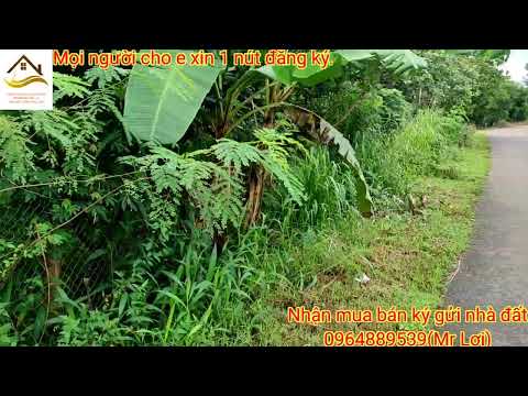 Video BÁN ĐẤT MẶT TIỀN PHỦ HỒNG VƯỜN TRÁI CÂY. DT 1617M2. - youtube