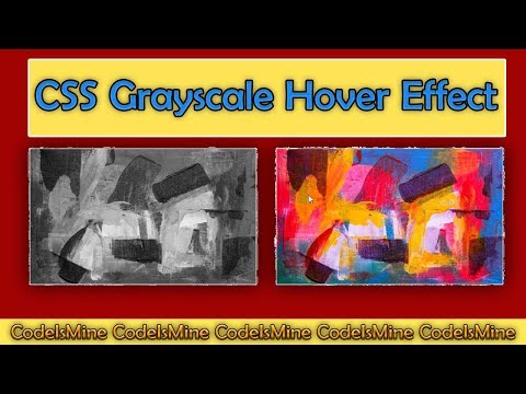 CSS Grayscale Hover Effect | CodeIsMine