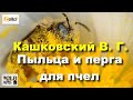 #Кашковский В. Г. Пыльца и перга для пчел.