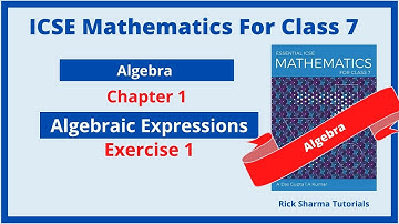 Algebra | Exercise 1 | Fundamental Concepts | ICSE Math Class 7