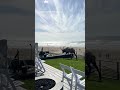 Elk crashes wedding in Cannon Beach, Oregon