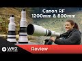 New Canon RF 1200mm and 800mm | First Look Review