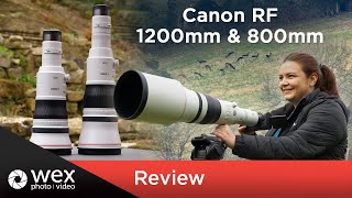 New Canon RF 1200mm and 800mm | First Look Review