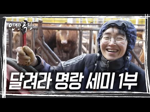 편찮으신 시아버지를 모시고, 두 아들을 키우며 140마리 소를 돌보는 세미 씨. 쉽지 않은 상황인데도 늘 웃는 얼굴로 주변까지 환하게 만든다. [인간극장] KBS 250324 방송