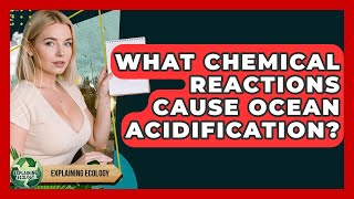 What Chemical Reactions Cause Ocean Acidification - Explaining Ecology
