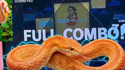 WTF!Using a snake play a rhythm game(Impossible challenge)挑战用蛇来打音游