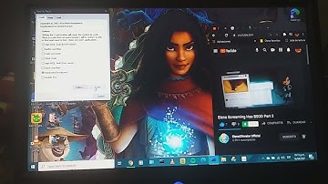Windows 10 Elena Screaming Has BSOD Part 2