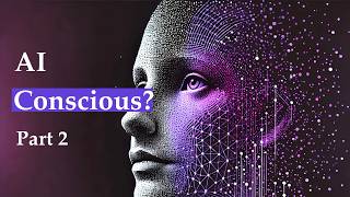 AI Consciousness   SENTIENT Machines are Possible  Part 2