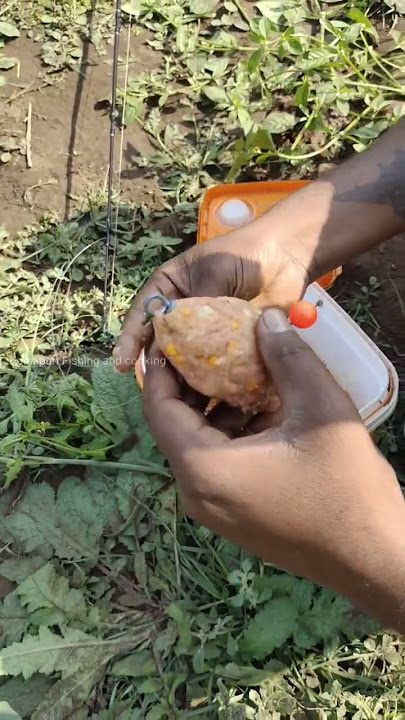 feeder bait, fishing tips, fish catching, kolhapuri Fishing and cooking