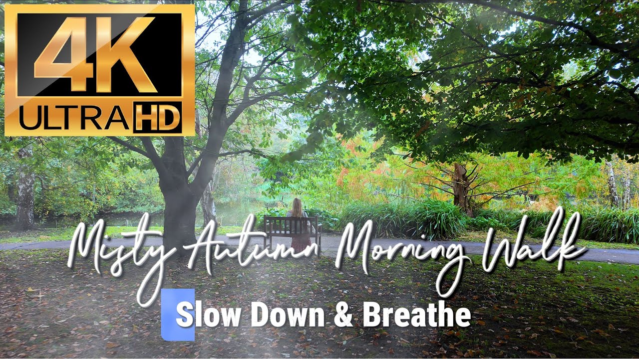 Misty Autumn Morning Calm Walk for Mental Health - OWMM #26