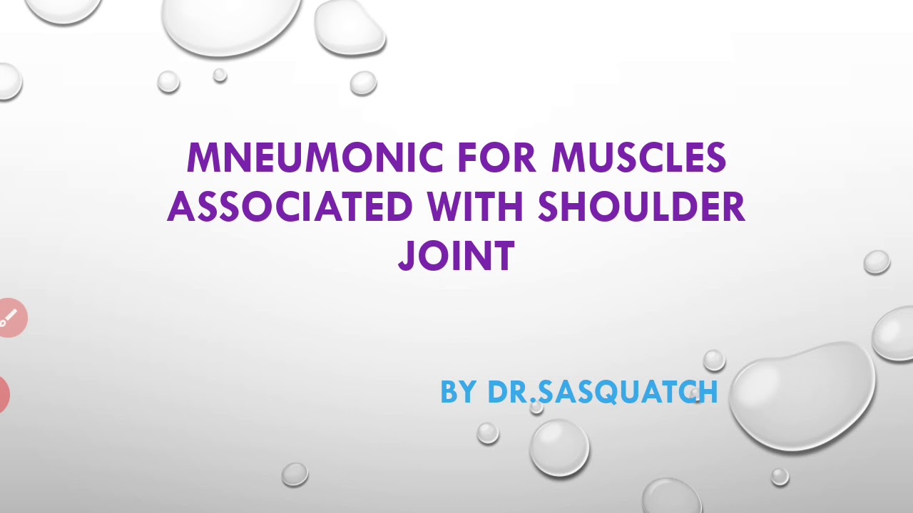🤩🤩Mnemonic for muscles associated with shoulder joint🤩🤩🤩