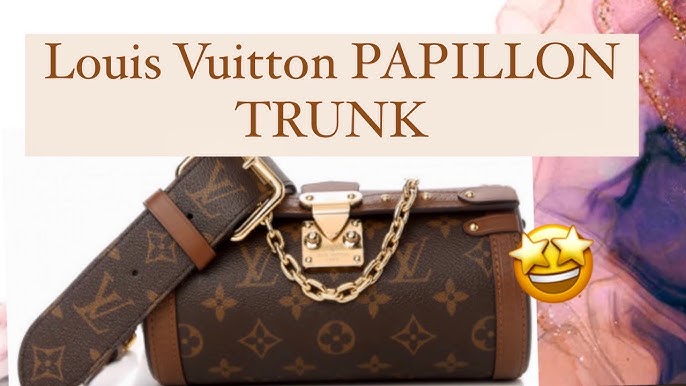 Louis Vuitton Side Trunk & top trunk bags - details, trying at LV,  prices:papillon, valise, cam box 