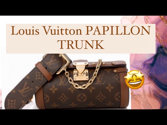 Louis Vuitton Papillon Trunk Bag: What Fits, Mod Shots, Worth It? 