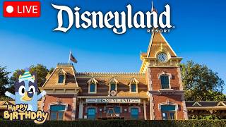 Disney Spring Break Birthday Stream At Disneyland Resort stream
