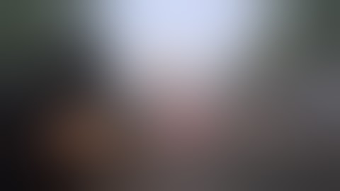 Enjoy the Burn! Eclipse Protocol Skill Build