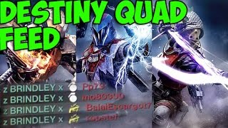 Destiny Quad Feed | z BRINDLEY x