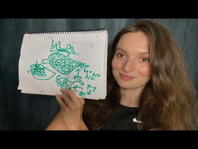 ASMR Explaining Photosynthesis | Teacher Roleplay, Marker Pen & Paper, Drawing, Soft Explanations