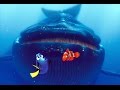 Finding Nemo | Episode 11 Whale Chase | À Procura de Nemo | ZigZag