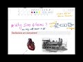 [Lec 10 Part 1] Trigonometric Fourier Series