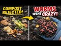 Worms Ignored My Compost but Went Crazy for This Kitchen Scrap
