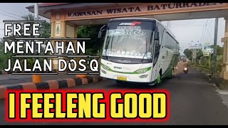 ✔ Dj i Feeling good like i should versi Bus green White DOS'Q   FREE MENTAHAN BUS JALAN