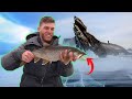 Targeting WILD Maine Lake Trout | ICE FISHING!! (Best Catch of the Season!)