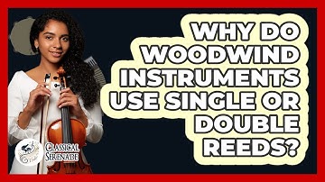Why Do Woodwind Instruments Use Single Or Double Reeds? - Classical Serenade