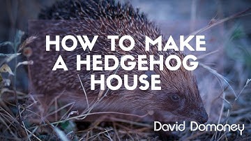 Looking after wildlife - How to make a Hedgehog House - David Domoney