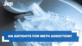 An antidote for meth addiction? Doctors say it's quite possible.