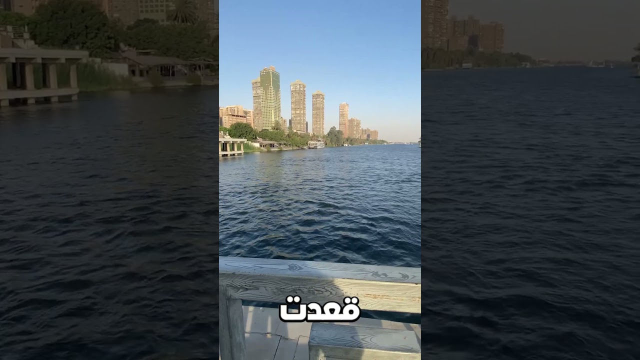 يوم من حياة مبرمج شغال من البيت #فلوجز #برمجة #لازم_تعرفها #تقنية #تحفيز