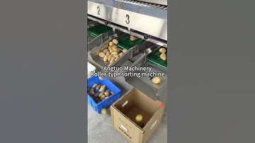 How Fruits Get Graded! 🍊 Watch This Smart Roller Sorting Machine in Action!