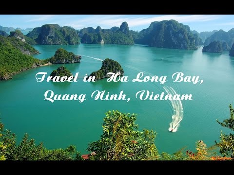 Travel in Ha Long, Quang Ninh: Best travel places