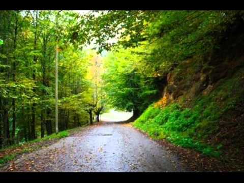 საირმე----ირმების სავანე